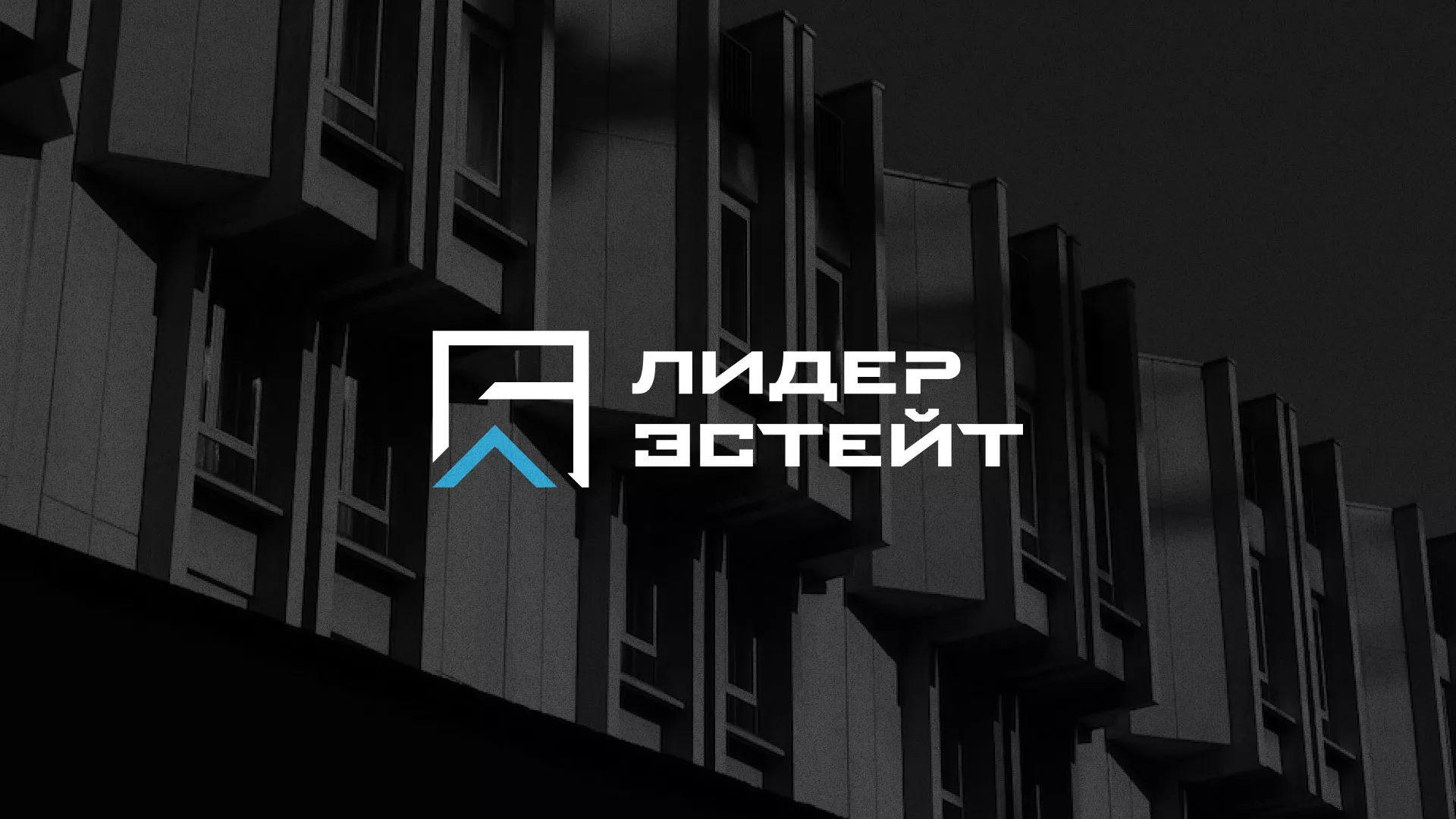 Разработка логотипа агентства недвижимости «Лидер Эстейт» в Таштаголе